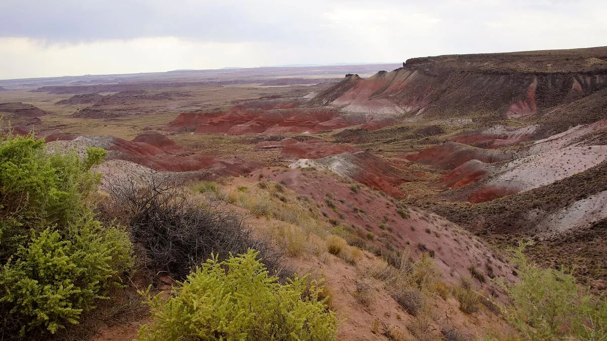 Painted Desert