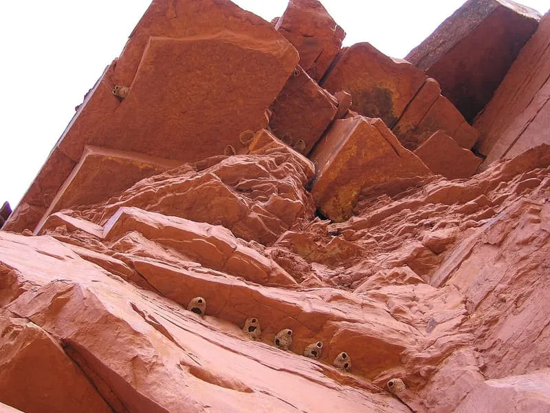 Paria Canyon-Vermilion Cliffs Wilderness, photograph 2