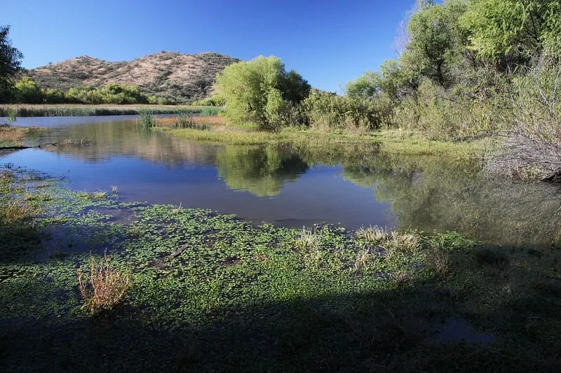 Patagonia Lake State Park, photograph 3
