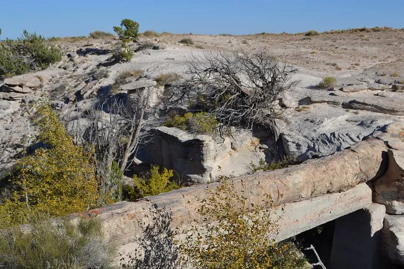 Petrified Forest National Park, photograph 3