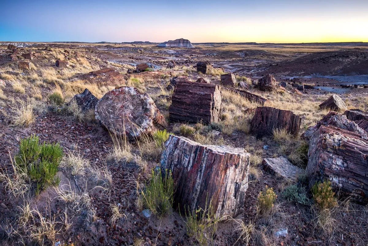 Petrified Forest National Park
