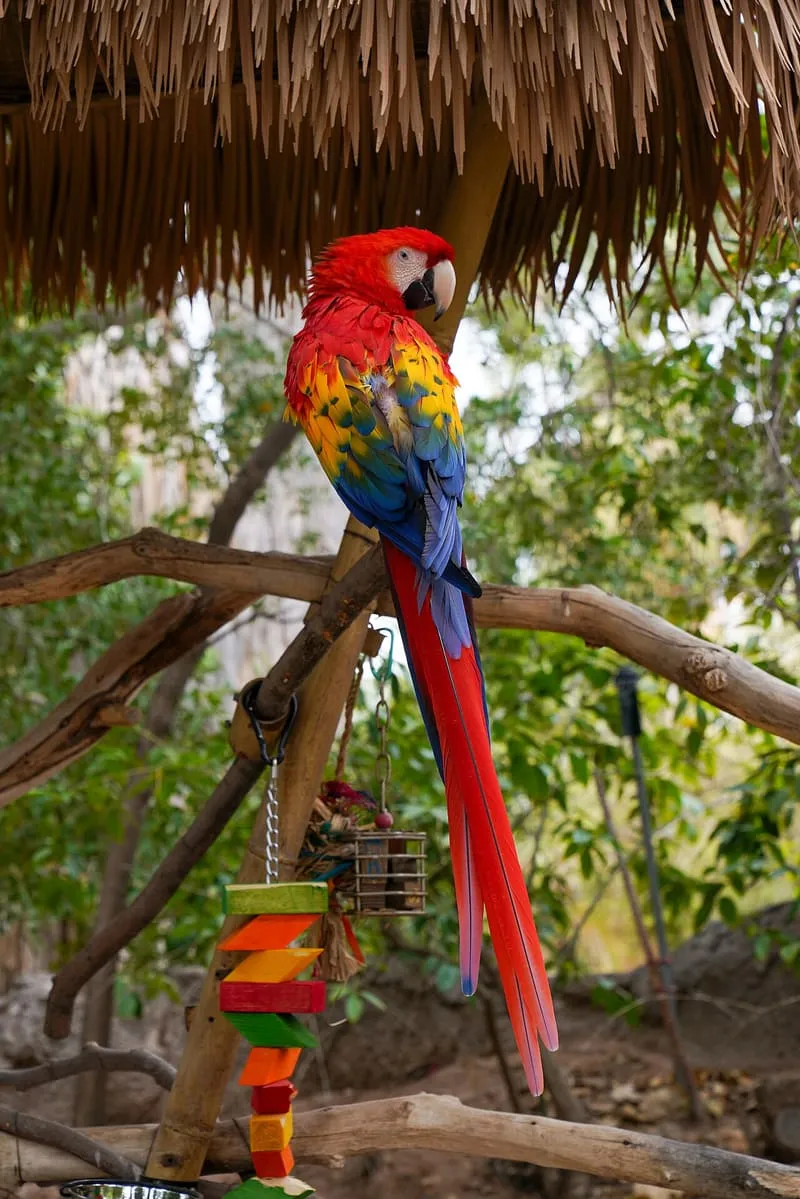 Phoenix Zoo, photograph 2