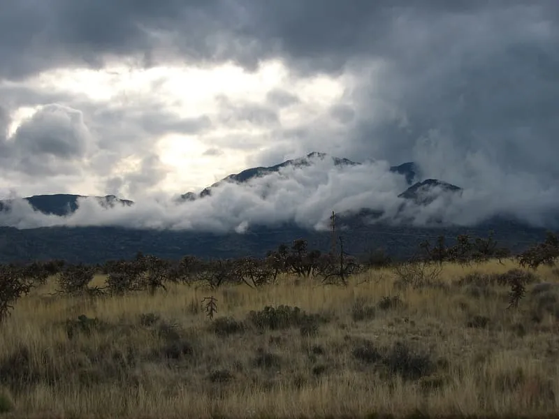 Pinaleño Mountains, photograph 2