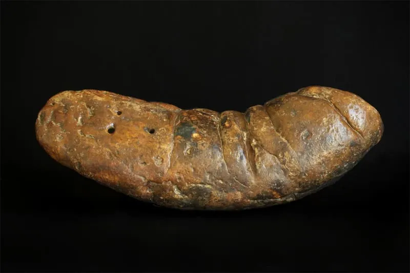 Poozeum, photograph 3