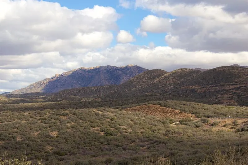 Prescott National Forest, photograph 2