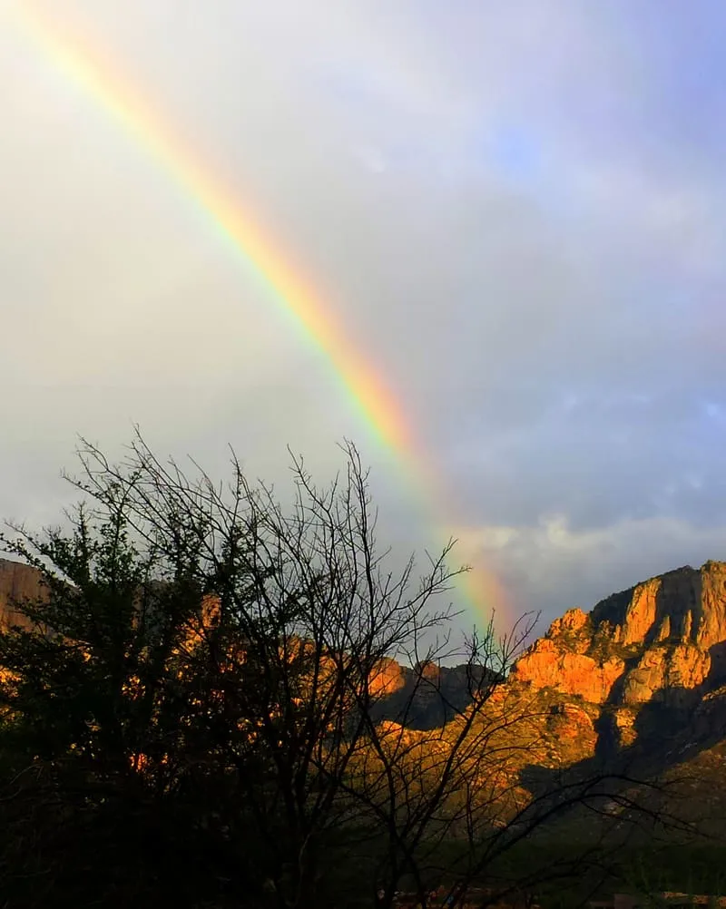 Pusch Ridge Wilderness Area, photograph 2