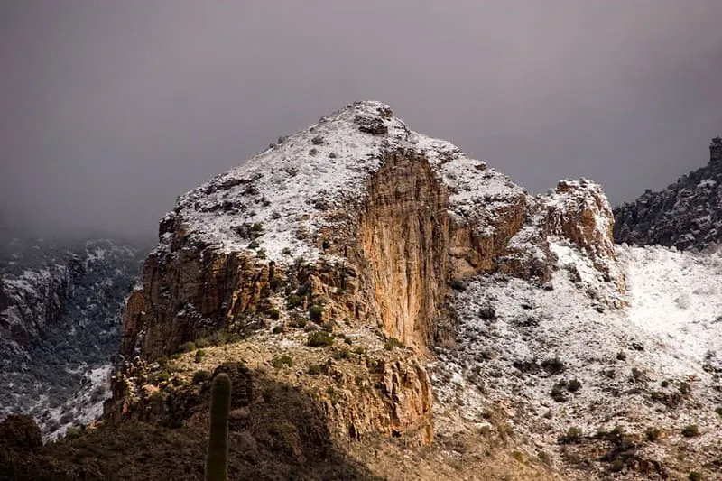 Pusch Ridge Wilderness Area, photograph 3