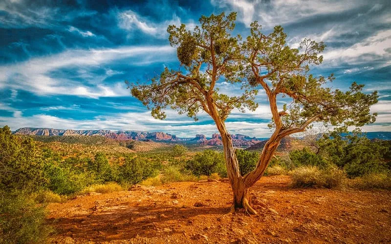 Red Rock State Park, photograph 2