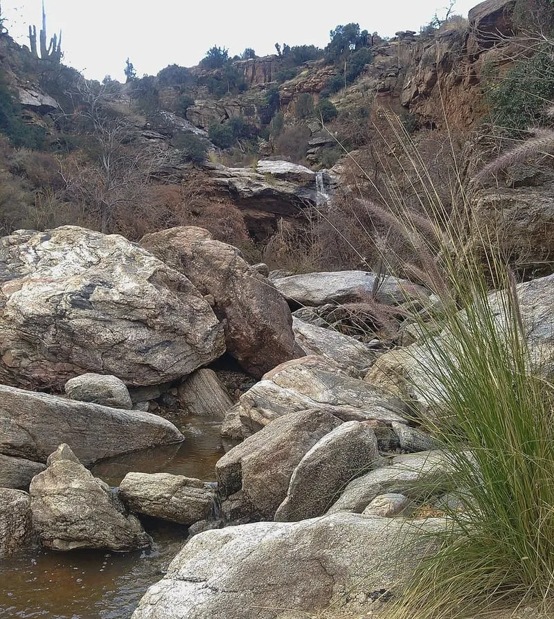 Rincon Mountains, photograph 2