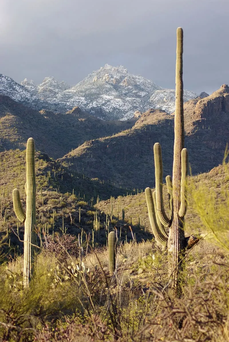 Sabino Canyon, photograph 2