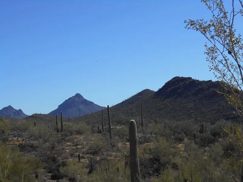 Sabino Canyon, photograph 3