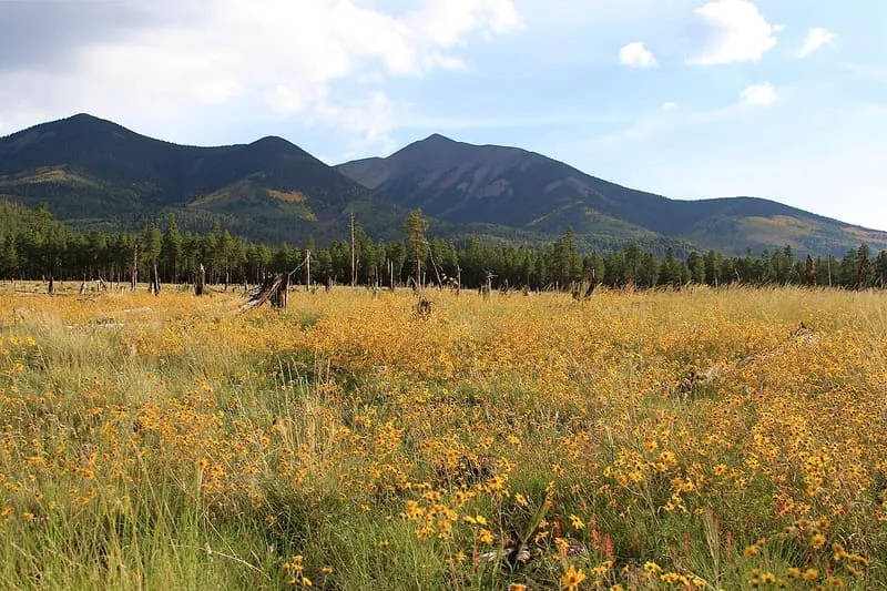 San Francisco Peaks, photograph 3