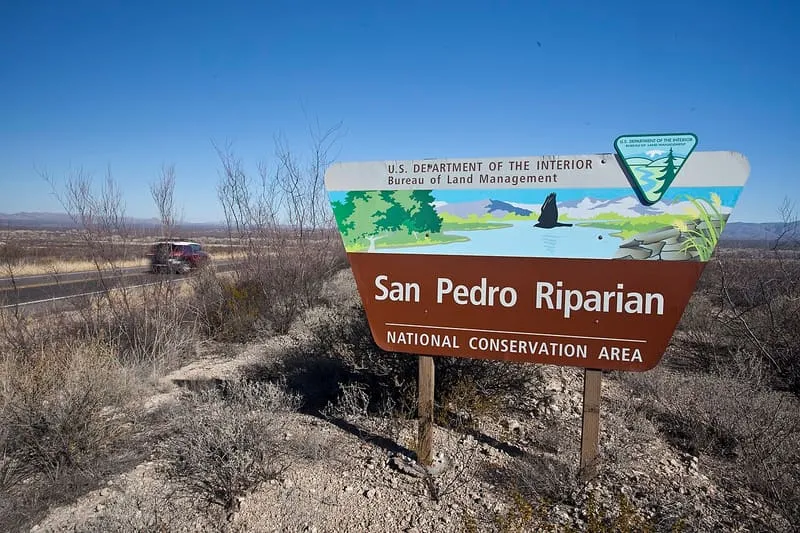 San Pedro Riparian National Conservation Area, photograph 2