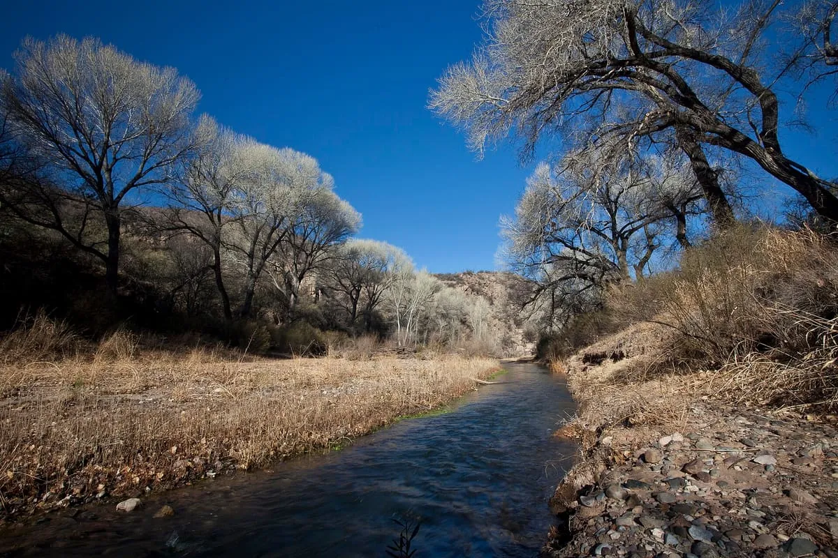 San Pedro Riparian National Conservation Area