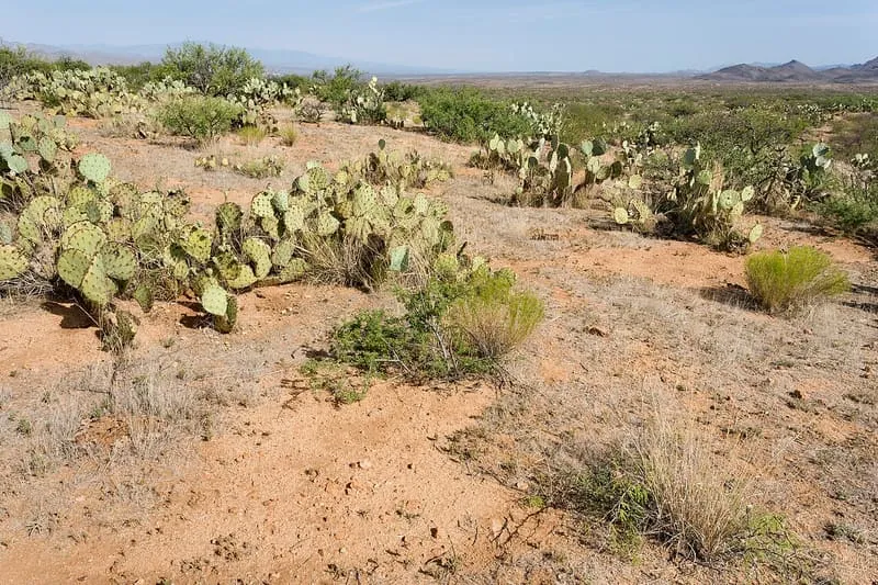 San Pedro Valley, photograph 2