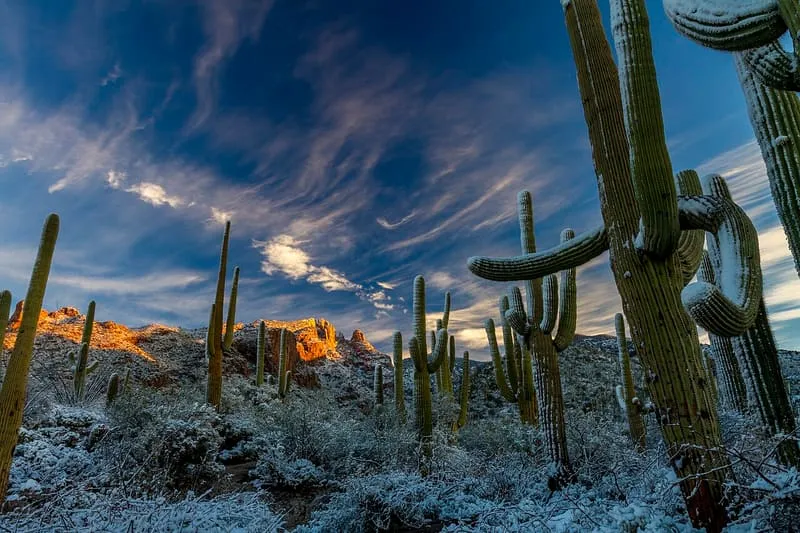 Santa Catalina Mountains, photograph 3