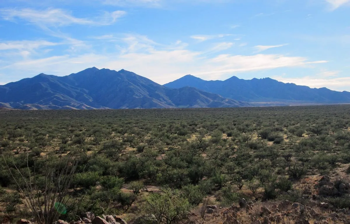 Santa Rita Mountains