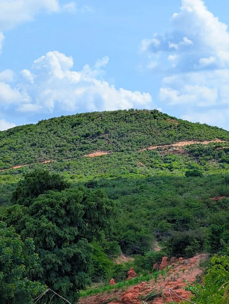 Sentinel Peak, photograph 3