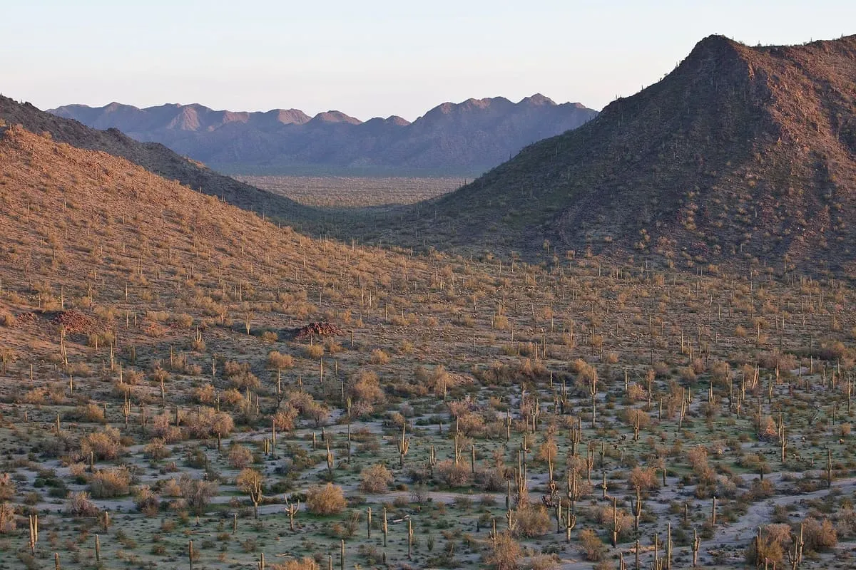 Sonoran Desert National Monument