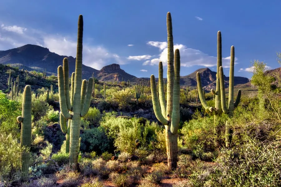 Spur Cross Ranch Conservation Area