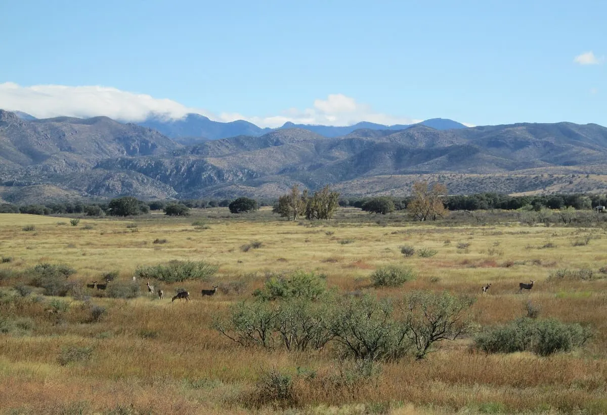 Sulphur Springs Valley