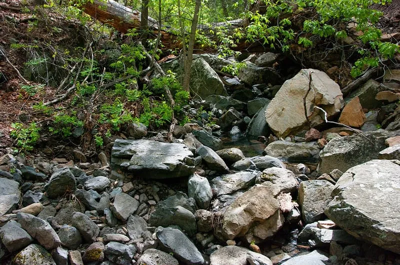 Sycamore Canyon, photograph 2