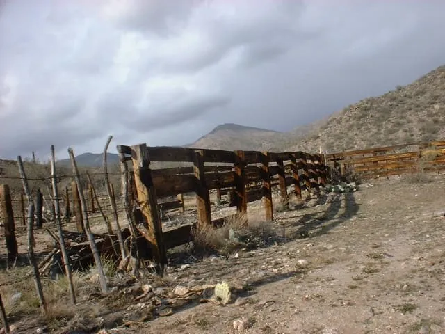 Tip Top, photograph 2