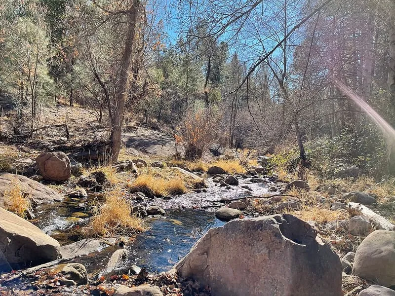 Tonto National Forest, photograph 3