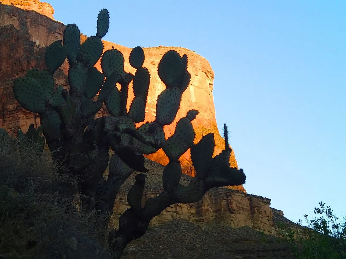 Tonto Trail