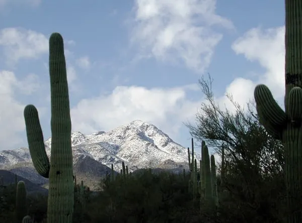 Tucson Mountains