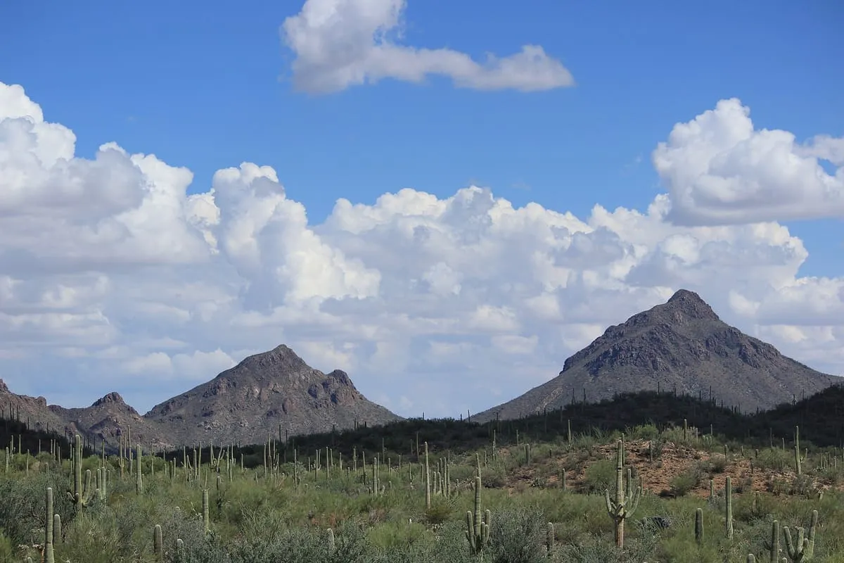 Tucson Mountains