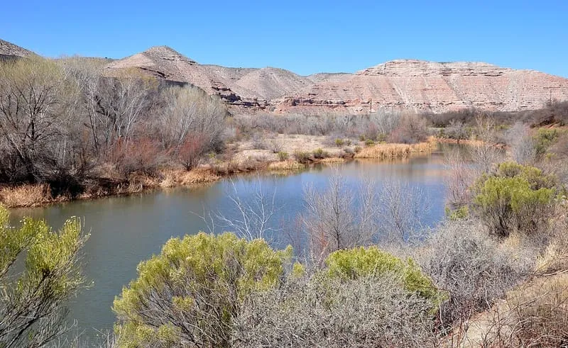 Verde River Greenway State Natural Area, photograph 2
