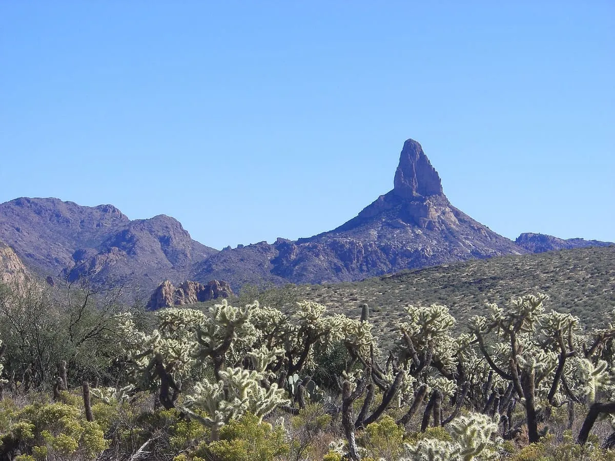 Weaver's Needle