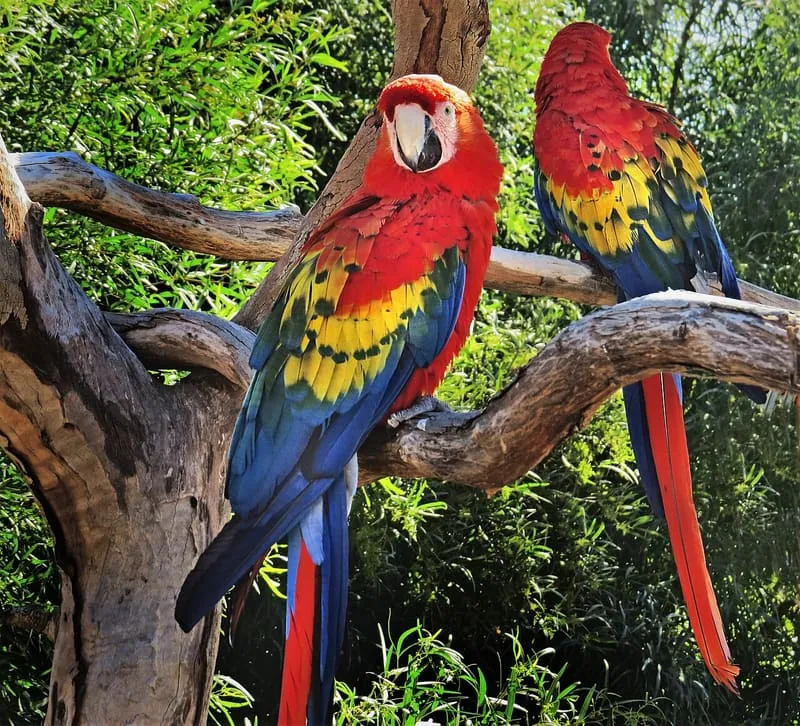 Wildlife World Zoo, photograph 2