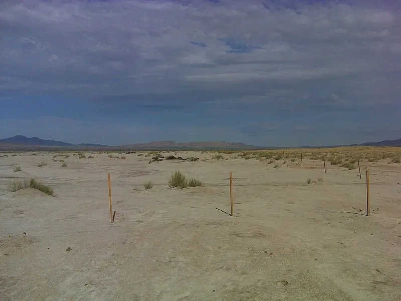 Willcox Playa, photograph 2