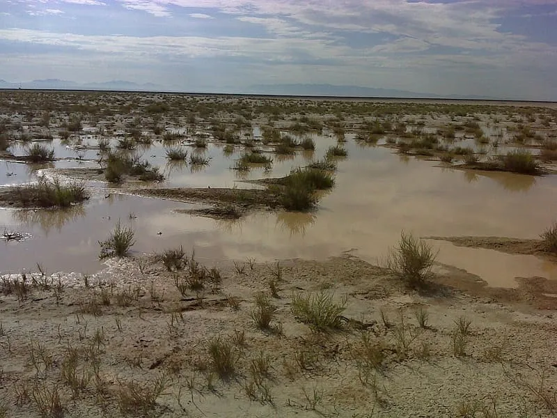 Willcox Playa, photograph 3