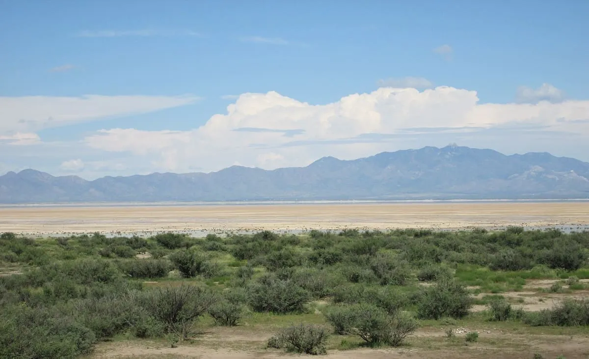 Willcox Playa
