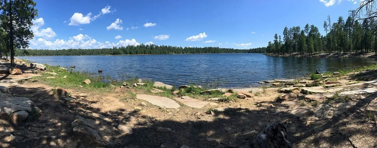 Willow Springs Lake